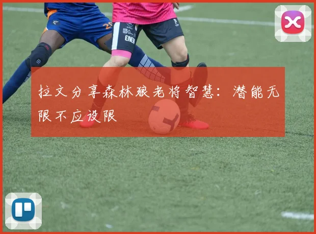 拉文分享森林狼老将智慧：潜能无限不应设限