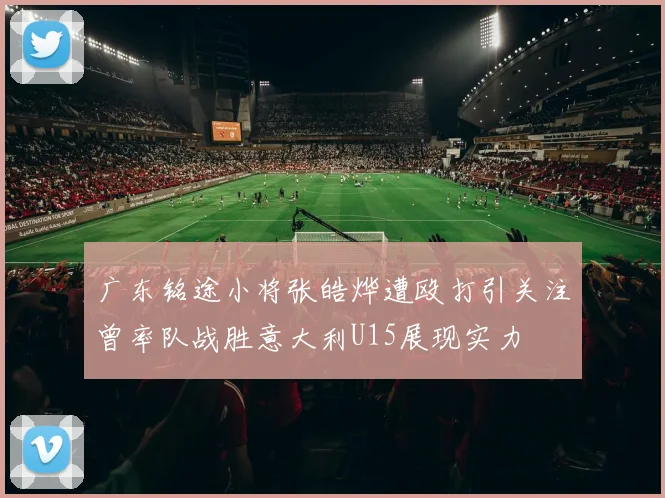 广东铭途小将张皓烨遭殴打引关注曾率队战胜意大利U15展现实力